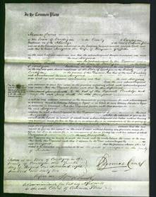 Court of Common Pleas - Margaret Griffiths-Original Ancestry