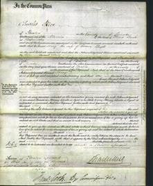 Court of Common Pleas - Mary Wright-Original Ancestry