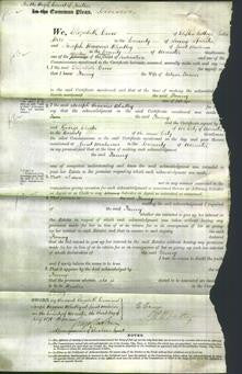 Court of Common Pleas - Fanny Turner-Original Ancestry