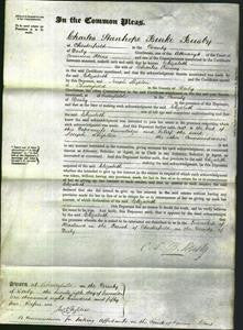 Court of Common Pleas - Elizabeth Finney-Original Ancestry