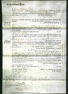 Court of Common Pleas - Mary Ann Laidlaw-Original Ancestry