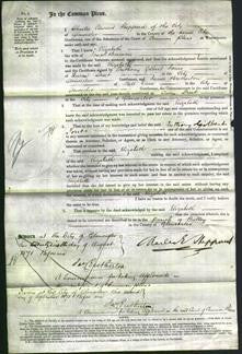 Court of Common Pleas - Elizabeth Beaman-Original Ancestry