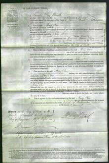 Court of Common Pleas - Mary Ann Lewis-Original Ancestry