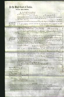 Court of Common Pleas - Fanny Lawson, Ellen Anderson-Original Ancestry