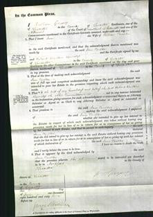 Court of Common Pleas - Jane Coulton-Original Ancestry