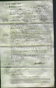 Court of Common Pleas - Maria Bell and Ann Death-Original Ancestry