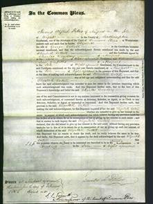 Court of Common Pleas - Elizabeth Cottell-Original Ancestry