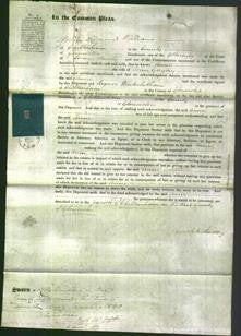 Court of Common Pleas - Anne Gregory-Original Ancestry