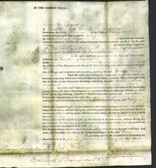 Court of Common Pleas -Mary Dyer-Original Ancestry