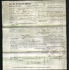 Court of Common Pleas - Elizabeth Skill-Original Ancestry