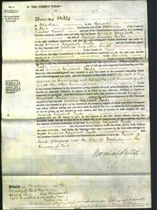 Court of Common Pleas - Amelia Elizabeth Peake-Original Ancestry