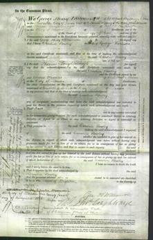 Court of Common Pleas - Caroline Rowley Robinson-Original Ancestry