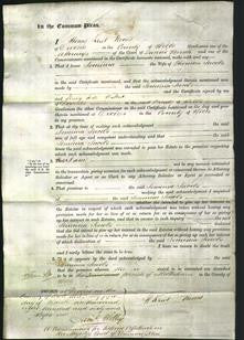 Court of Common Pleas - Jemima Jacobs-Original Ancestry