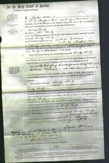 Court of Common Pleas - Emily Bailey-Original Ancestry