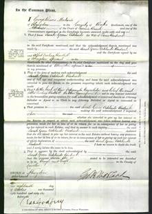 Court of Common Pleas - Sarah Green Adelaide Badcock-Original Ancestry