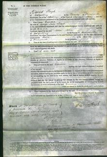 Court of Common Pleas - Emma Lloyd-Original Ancestry