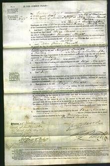 Court of Common Pleas - Eliza Munro-Original Ancestry