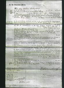 Court of Common Pleas - Mary Ann Rhodes-Original Ancestry