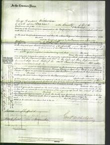 Court of Common Pleas - Maria Hallam-Original Ancestry