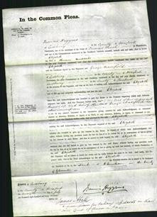 Court of Common Pleas - Elizabeth Maddocks-Original Ancestry