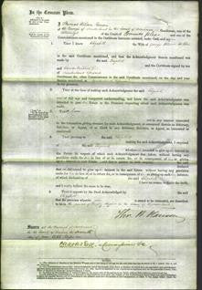 Court of Common Pleas - Elizabeth Wilson-Original Ancestry