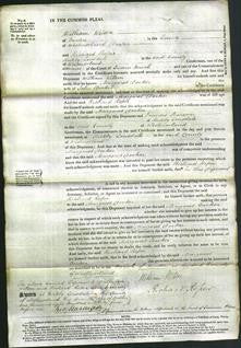 Court of Common Pleas - Margaret Docker-Original Ancestry