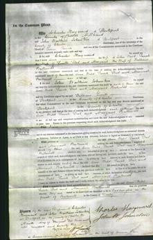 Court of Common Pleas - Ann Wild, Sarah Steel and Margaret Bakewell-Original Ancestry