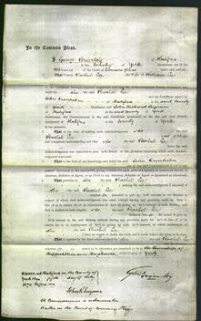 Court of Common Pleas - Rachel Lee-Original Ancestry