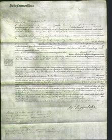 Court of Common Pleas- Mary Cooke-Original Ancestry