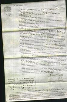 Court of Common Pleas - Ann Crimes-Original Ancestry