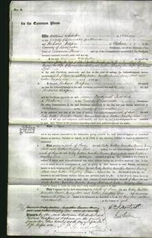 Court of Common Pleas - Betty Mellor, Martha Bowen, Mary Hall and Esther Lees-Original Ancestry