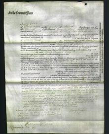 Court of Common Pleas - Sarah Jemima Lello-Original Ancestry