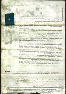 Court of Common Pleas - Jane Jemima Sketchley-Original Ancestry