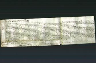 Court of Common Pleas - Ann Elizabeth Doughty-Original Ancestry