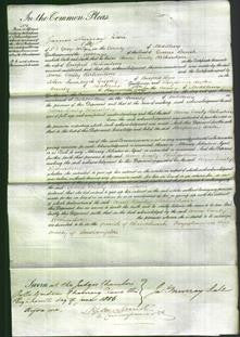 Court of Common Pleas - Anne Emily Richardson-Original Ancestry