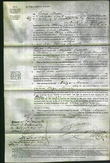 Court of Common Pleas - Eliza Munro-Original Ancestry