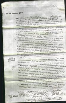 Court of Common Pleas - Emma Greenhalgh and Ann Collins Rowland-Original Ancestry