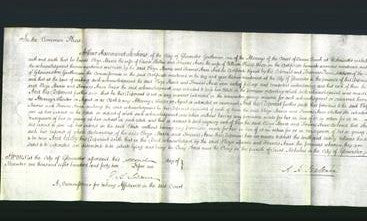 Court of Common Pleas - Eliza Maria Shelton and Frances Anne Price-Original Ancestry