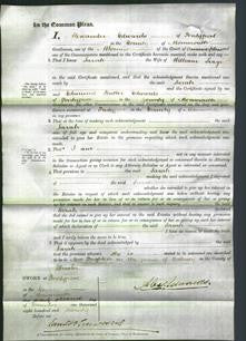 Court of Common Pleas - Sarah Seage-Original Ancestry