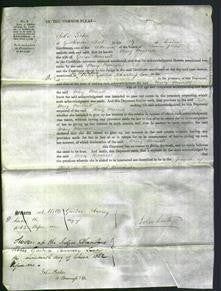 Court of Common Pleas - Mary Murrell-Original Ancestry