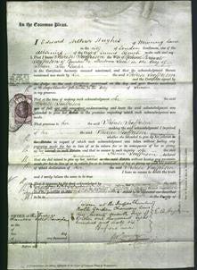 Court of Common Pleas - Therese Jeaffreson-Original Ancestry