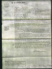 Court of Common Pleas - Dinah Raine-Original Ancestry