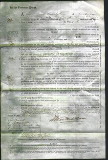 Court of Common Pleas - Fanny Lyon-Original Ancestry