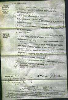 Court of Common Pleas - May Bayley-Original Ancestry