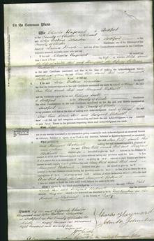 Court of Common Pleas - Ann Wild, Sarah Steel and Margaret Bakewell-Original Ancestry