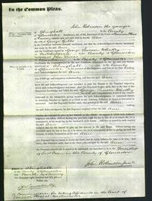 Court of Common Pleas - Ann Gibbs-Original Ancestry