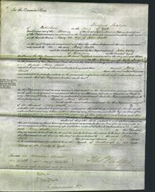 Court of Common Pleas - Mary Smith-Original Ancestry