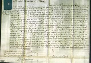 Court of Common Pleas - Mary Ann Aikin-Original Ancestry