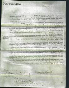 Court of Common Pleas - Jane Lawson-Original Ancestry