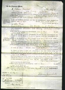 Court of Common Pleas - Jane Esdale and Catherine Bainbridge-Original Ancestry